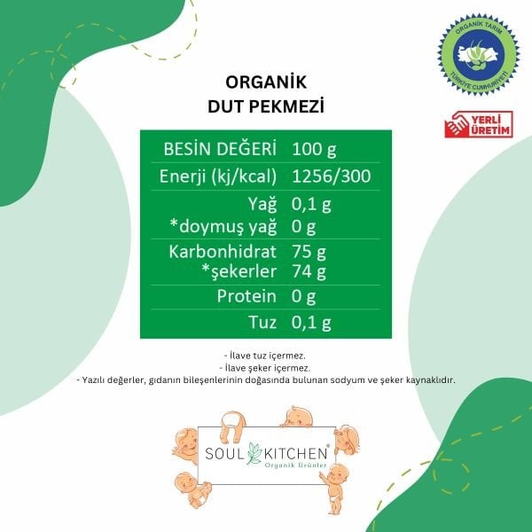 Organik Dut Pekmezi 380gr (Soğuk Sıkım) (Şeker İlavesiz)