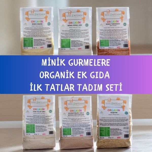 Minik Gurmelere Organik Ek Gıda İlk Tatlar 6x80gr